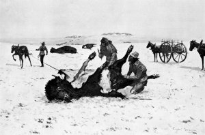 Teaching a Mustang Pony to Pack Dead Game