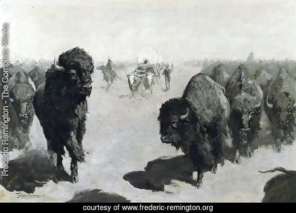 Lane through the Buffalo Herd