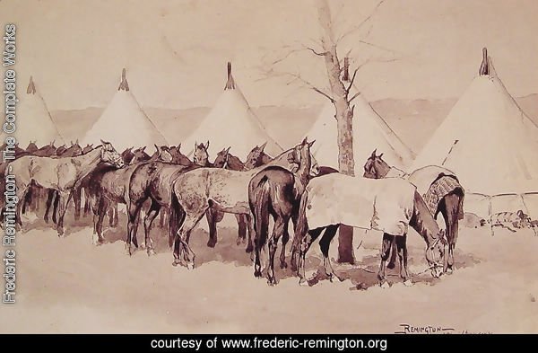 A Troop Picket Line Of The Sixth United States Cavalry Camp At Rapid Creek